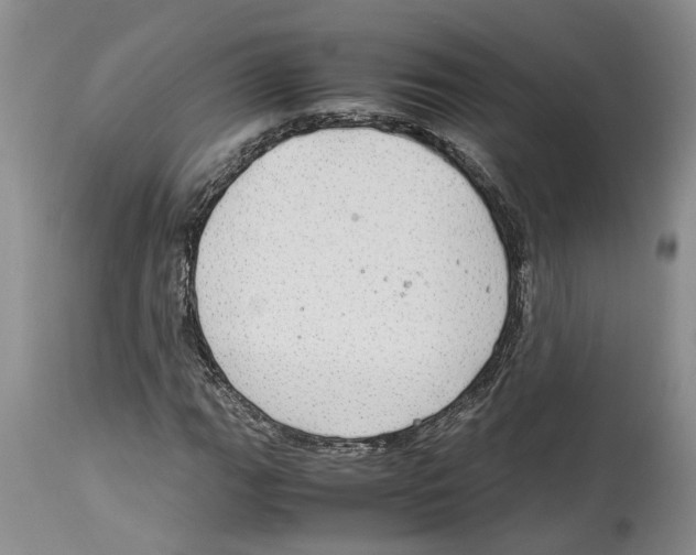 X0000114171111200911051521