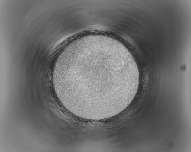 X0000114171112200911051521