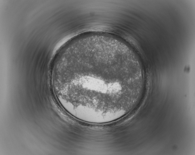 X0000114171114200911051521