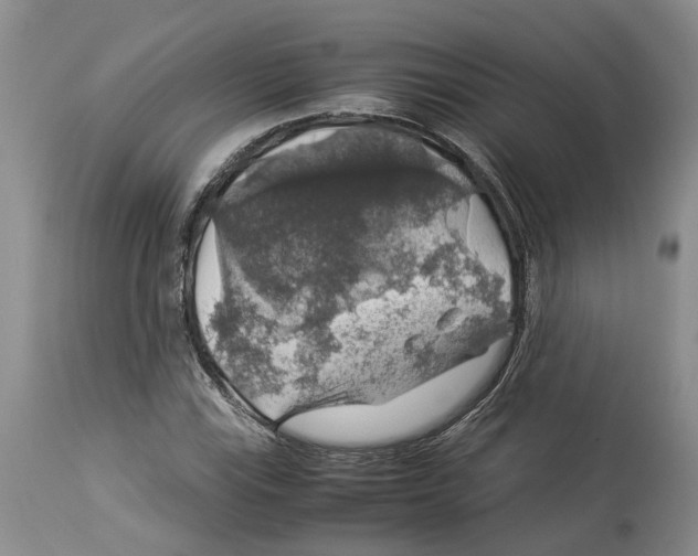 X0000114171115200911051521