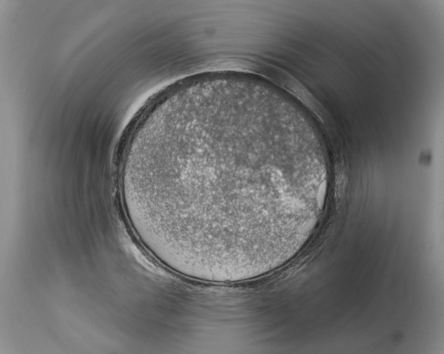 X0000114171116200911051521