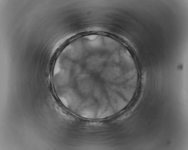 X0000114171117200911051521