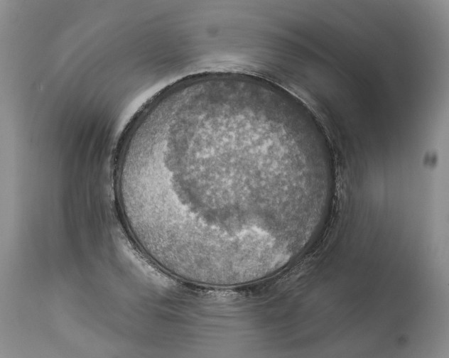 X0000114171120200911051521