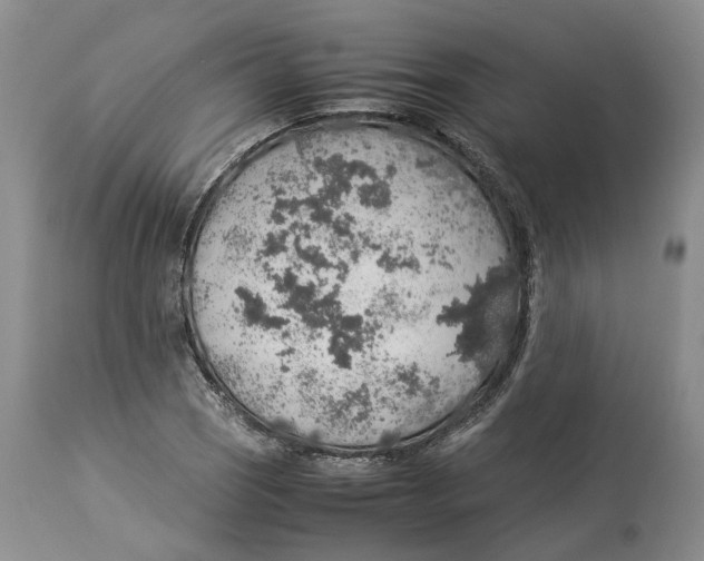 X0000114171121200911051521