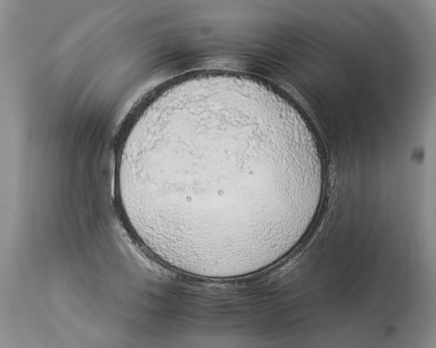 X0000114171123200911051521