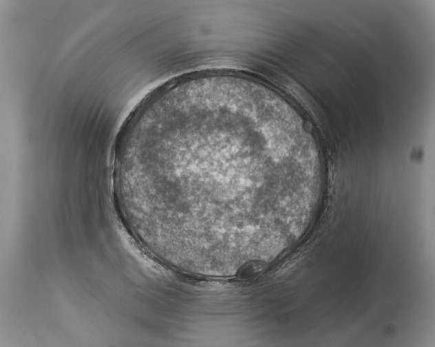 X0000114171124200911051521