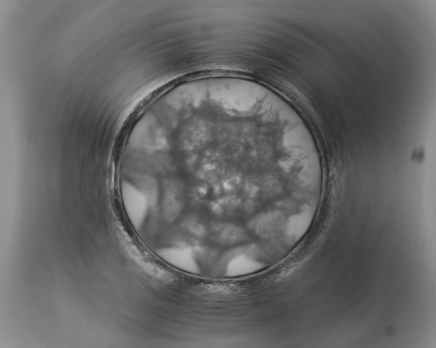 X0000114171125200911051521