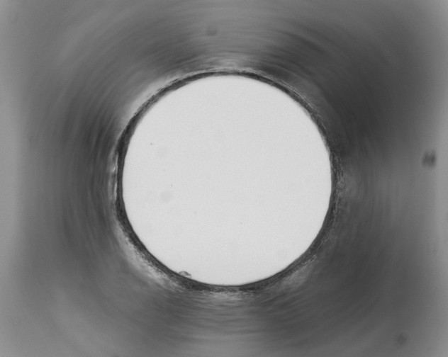 X0000114171126200911051521