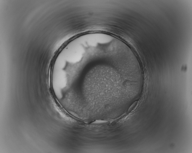 X0000114171127200911051521