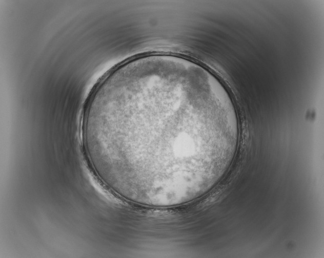 X0000114171128200911051521