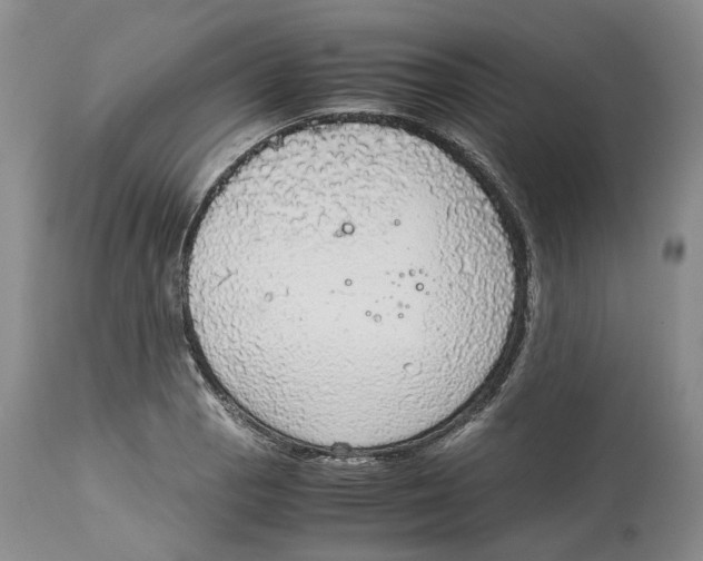 X0000114171129200911051521