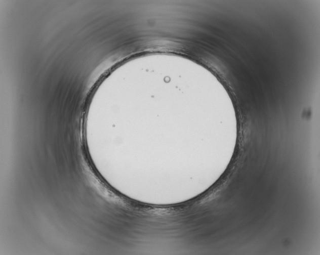 X0000114171130200911051521