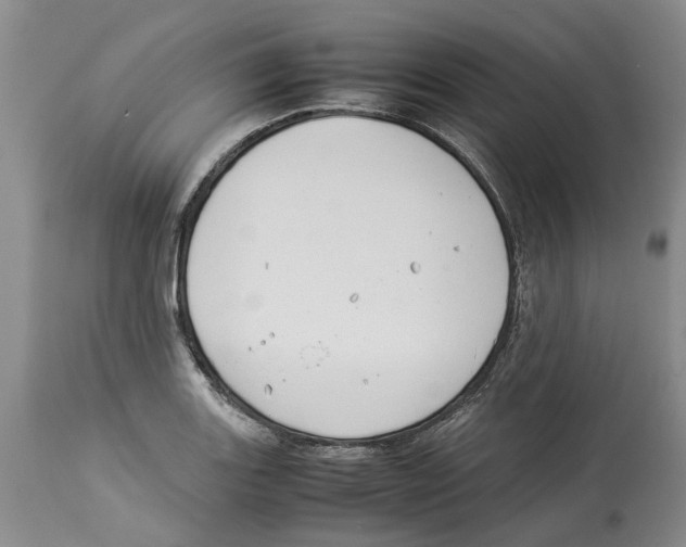 X0000114171131200911051521