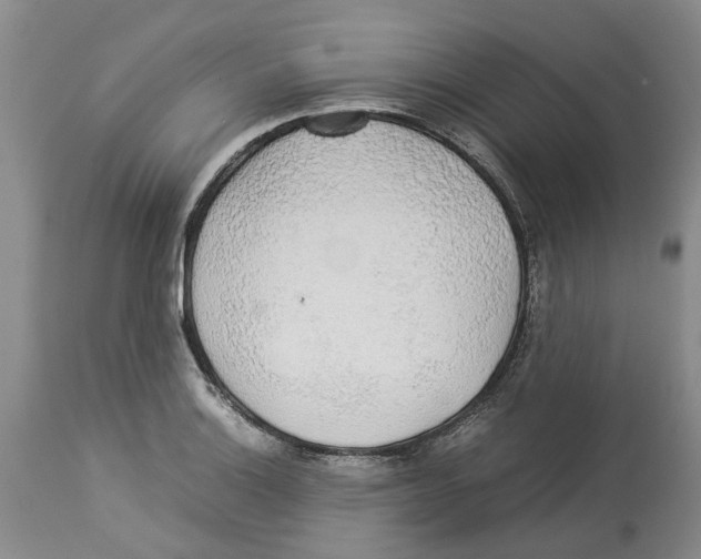 X0000114171132200911051521