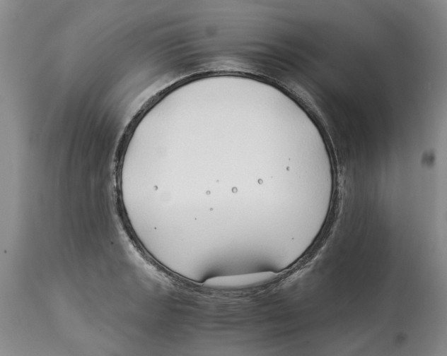 X0000114171133200911051521