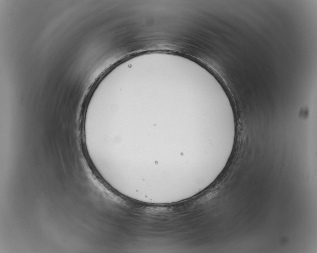 X0000114171135200911051521