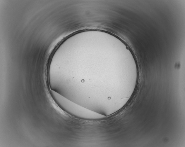 X0000114171136200911051521