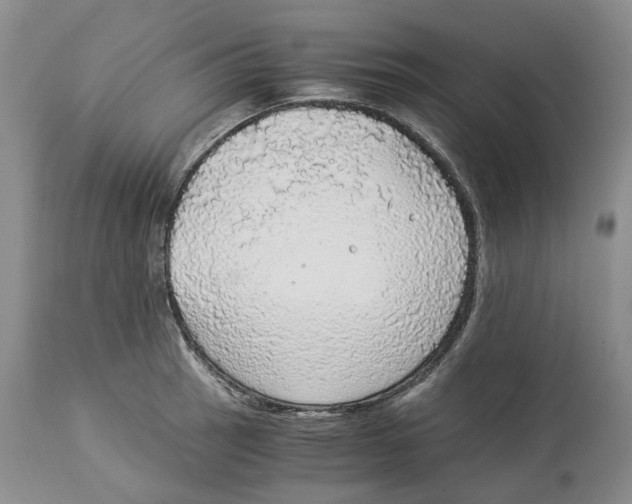 X0000114171137200911051521