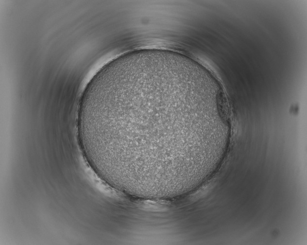 X0000114171138200911051521