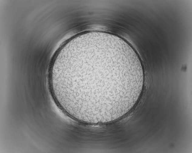 X0000114171139200911051521