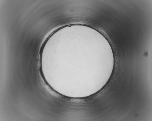 X0000114171140200911051522