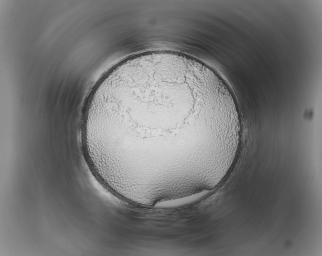 X0000114171143200911051522