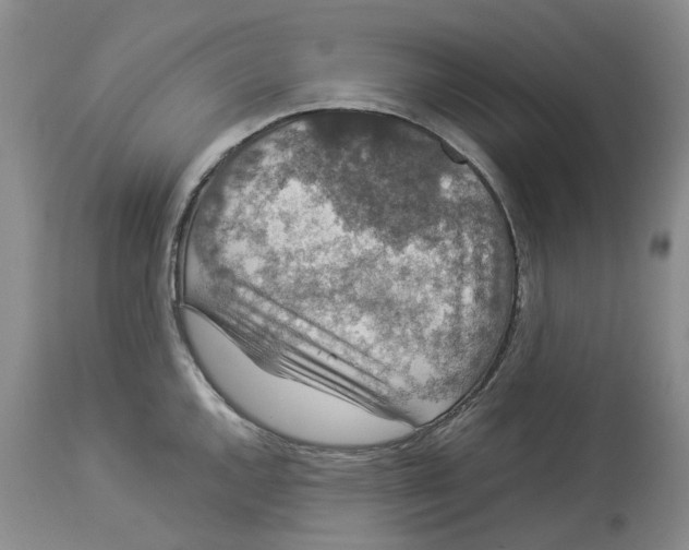 X0000114171144200911051522