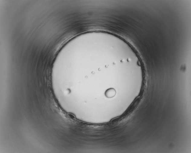 X0000114171145200911051522