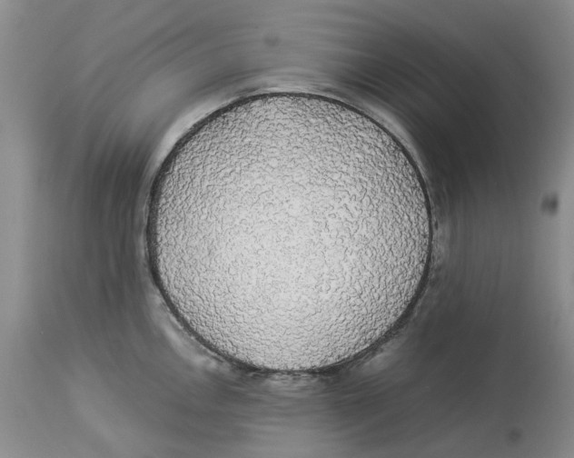 X0000114171146200911051522