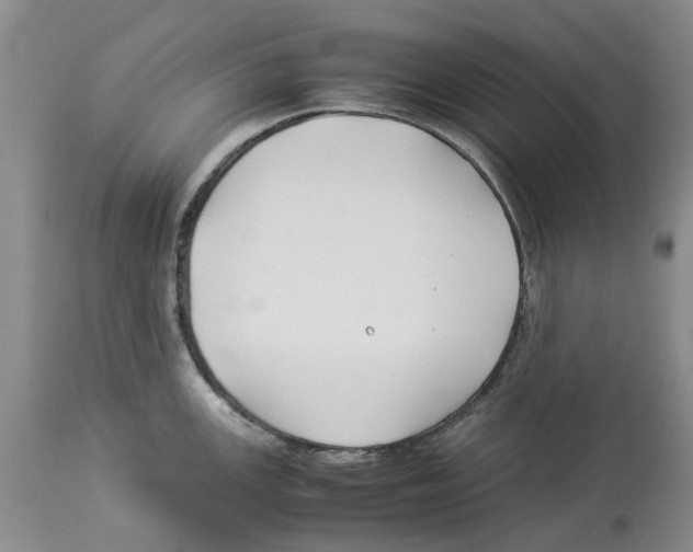 X0000114171147200911051522