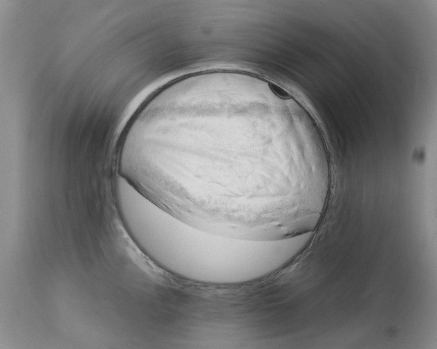 X0000114171148200911051522