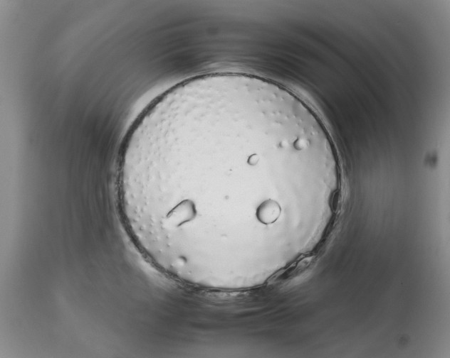 X0000114171149200911051522