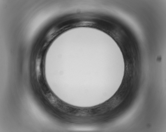 X0000114171150200911051522