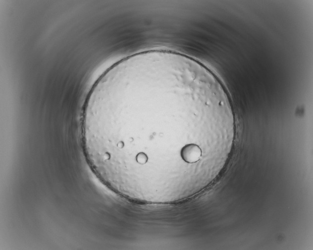 X0000114171151200911051522