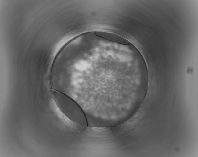 X0000114171152200911051522