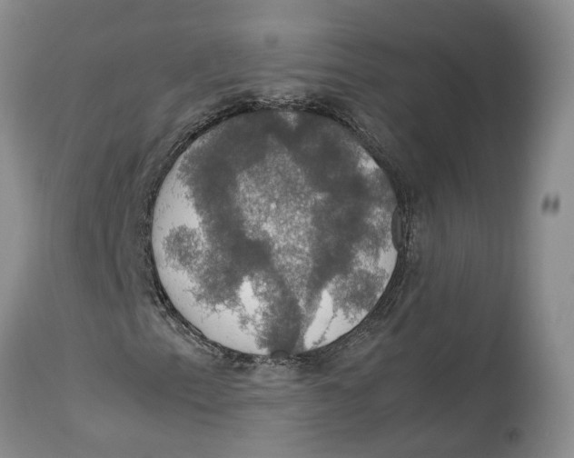 X0000114171153200911051521