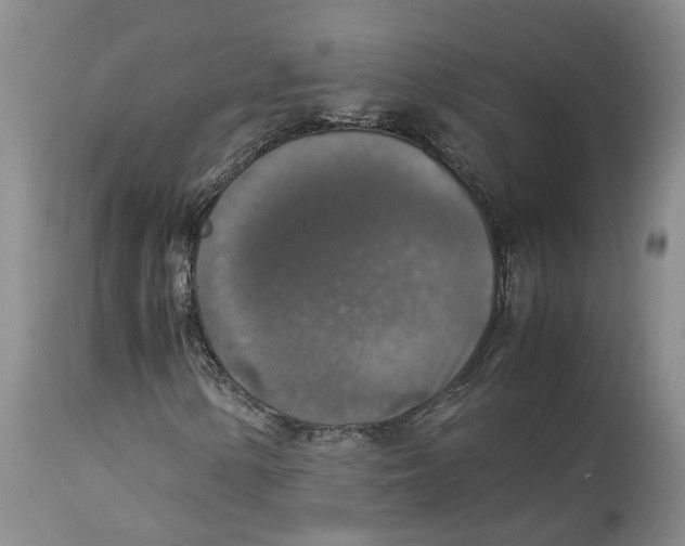 X0000114171154200911051521