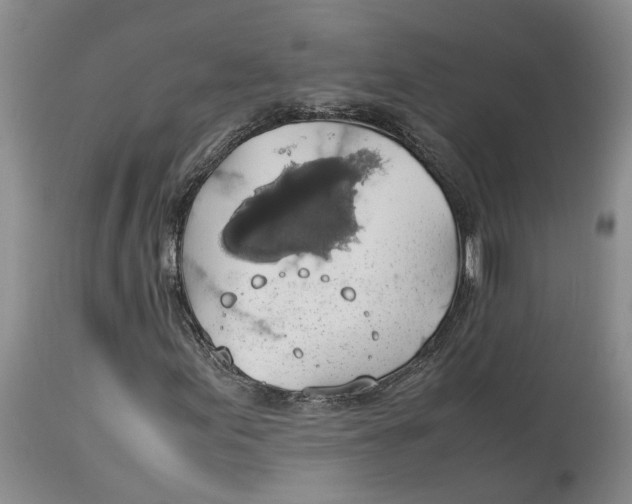 X0000114171155200911051521