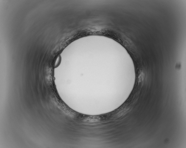 X0000114171156200911051521