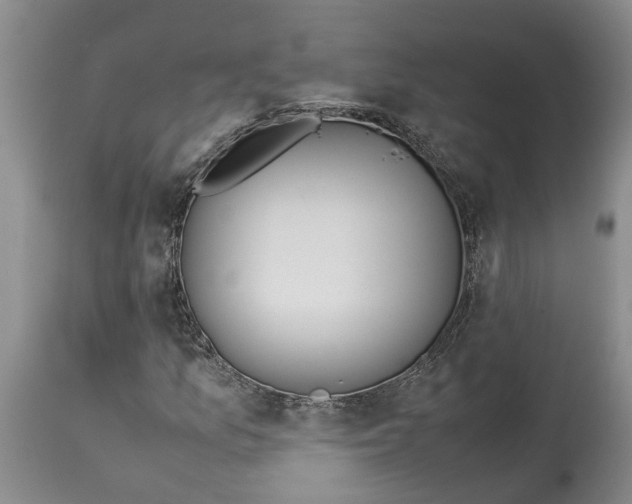 X0000114171157200911051521