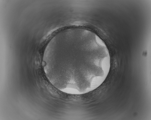 X0000114171158200911051521