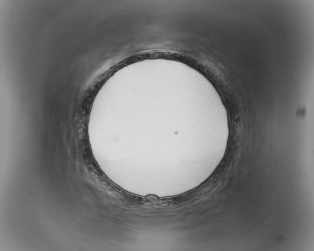 X0000114171159200911051521