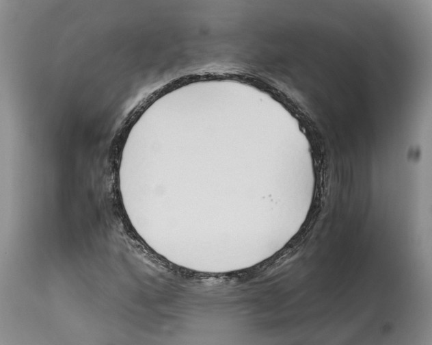 X0000114171160200911051521