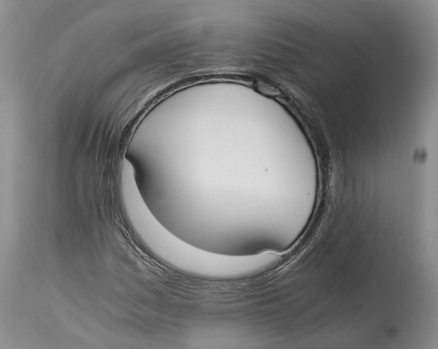 X0000114171161200911051521