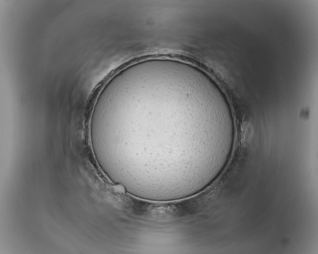 X0000114171165200911051521