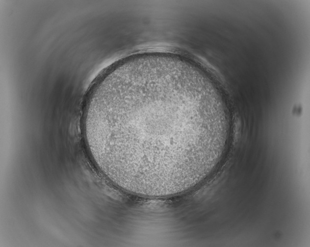 X0000114171166200911051521