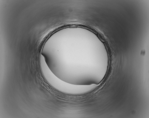 X0000114171167200911051521