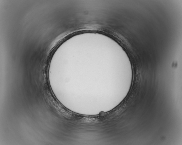 X0000114171168200911051521