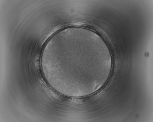 X0000114171170200911051521