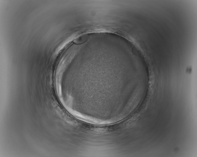 X0000114171173200911051521